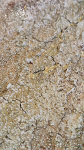 Steineffekt Gruen Gold 1