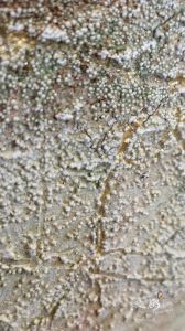 Steineffekt Gruen Gold 2