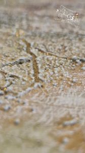 Steineffekt Gruen Gold 6