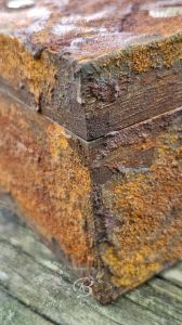 Teebox Rost5